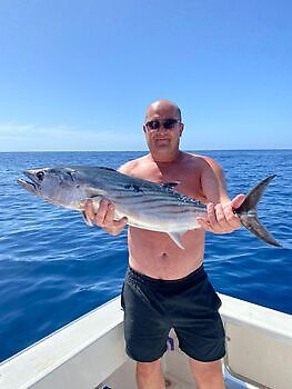 oktober White Marlin Gran Canaria