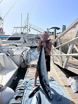 oktober White Marlin Gran Canaria