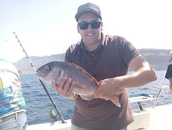 oktober White Marlin Gran Canaria