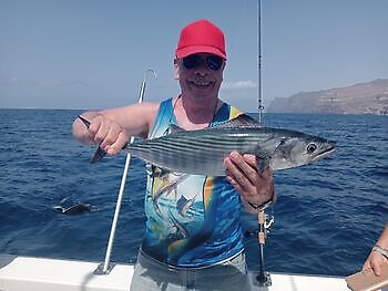 oktober White Marlin Gran Canaria