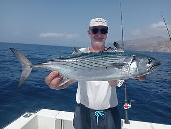 oktober White Marlin Gran Canaria