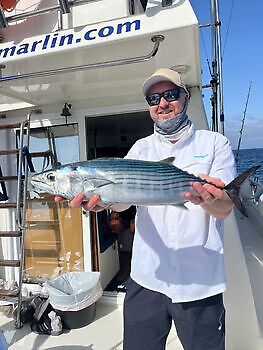 oktober White Marlin Gran Canaria