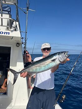 oktober White Marlin Gran Canaria