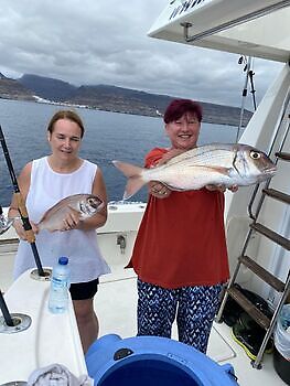 oktober White Marlin Gran Canaria