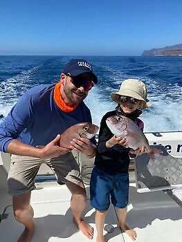 oktober White Marlin Gran Canaria