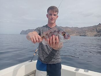 oktober White Marlin Gran Canaria