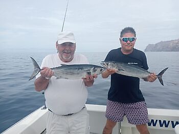 oktober White Marlin Gran Canaria