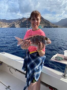 oktober White Marlin Gran Canaria