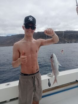 oktober White Marlin Gran Canaria