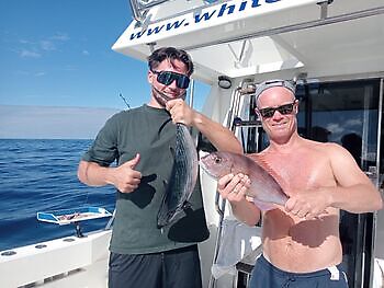 oktober White Marlin Gran Canaria