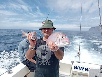 November White Marlin Gran Canaria