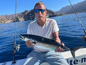 November White Marlin Gran Canaria