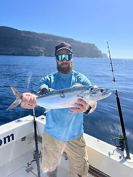 November White Marlin Gran Canaria