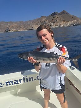 November White Marlin Gran Canaria