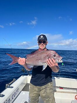 November White Marlin Gran Canaria