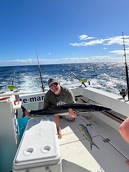 November White Marlin Gran Canaria