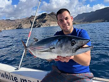 November White Marlin Gran Canaria