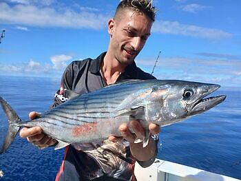 November White Marlin Gran Canaria