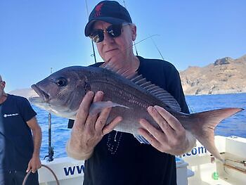 November White Marlin Gran Canaria