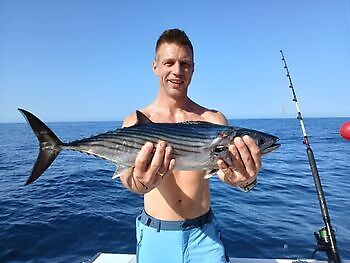 November White Marlin Gran Canaria