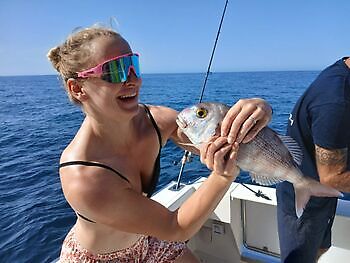 November White Marlin Gran Canaria