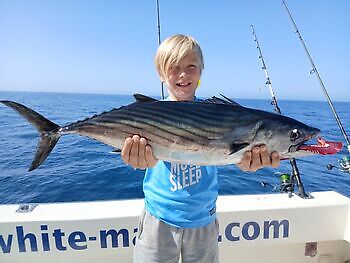 November White Marlin Gran Canaria