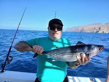 November White Marlin Gran Canaria