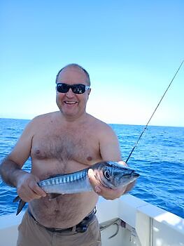 November White Marlin Gran Canaria