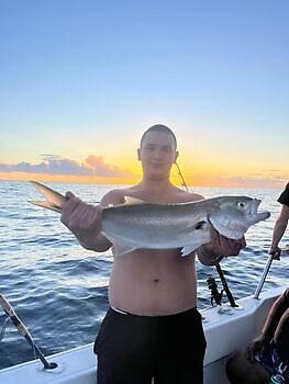 November White Marlin Gran Canaria