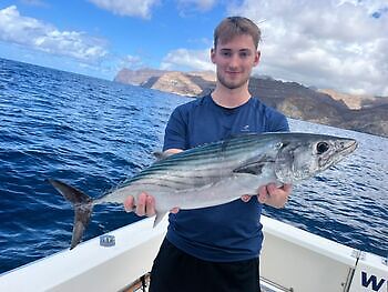 November White Marlin Gran Canaria