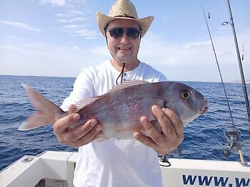 Atlantische tonijn White Marlin Gran Canaria