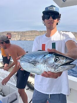 Atlantische tonijn White Marlin Gran Canaria