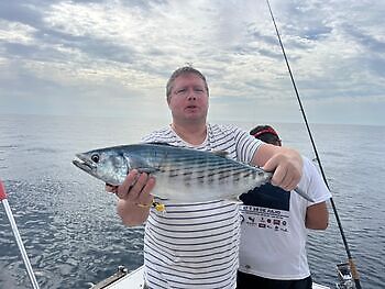 Atlantische tonijn White Marlin Gran Canaria