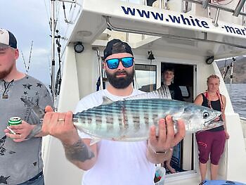 Maandag 🎣🔥🎣 White Marlin Gran Canaria