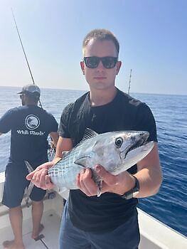 Sunday 🎣💪🎣 White Marlin Gran Canaria