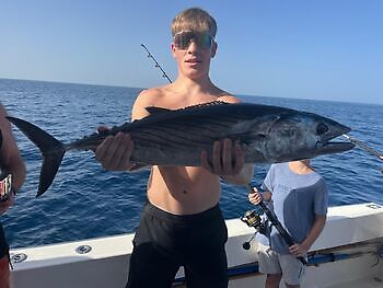 Atlantische tonijn White Marlin Gran Canaria