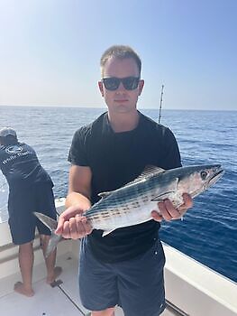 Atlantische tonijn White Marlin Gran Canaria