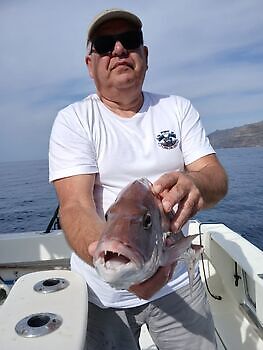 Mond 🎣🔥🎣 White Marlin Gran Canaria