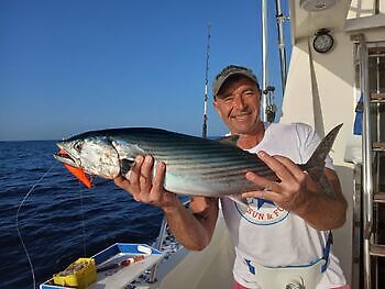 Echter Bonito und Atlantischer Thun White Marlin Gran Canaria