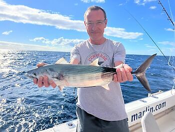 🎣💪🎣 volgende White Marlin Gran Canaria