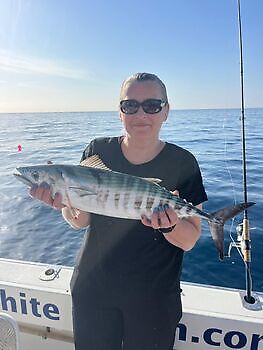 Gelukkige visser White Marlin Gran Canaria