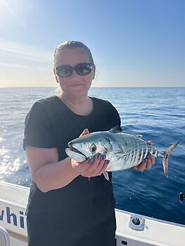 Gelukkige visser White Marlin Gran Canaria