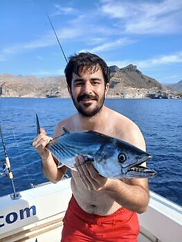 Atlantisk tunfisk White Marlin Gran Canaria