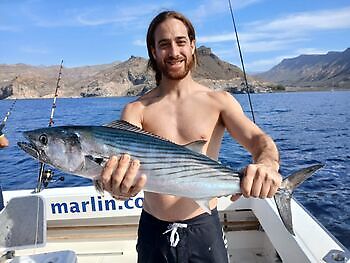 Atlantisk tunfisk White Marlin Gran Canaria