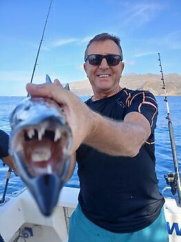 Red Snappers dag White Marlin Gran Canaria