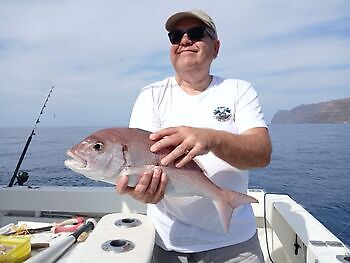 Red Snappers dag White Marlin Gran Canaria