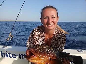 Zackenbarsch White Marlin Gran Canaria