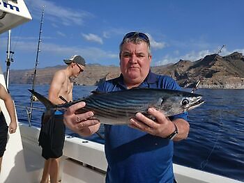 Atlantisk tunfisk White Marlin Gran Canaria