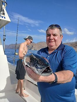 Atlantisk tunfisk White Marlin Gran Canaria