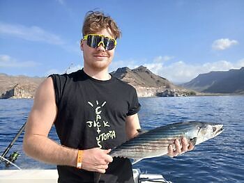 Atlantisk tunfisk White Marlin Gran Canaria